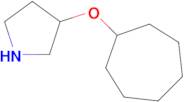 3-(Cycloheptyloxy)pyrrolidine