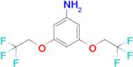 3,5-Bis(2,2,2-trifluoroethoxy)aniline