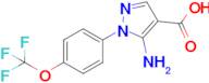 5-Amino-1-(4-(trifluoromethoxy)phenyl)-1h-pyrazole-4-carboxylic acid