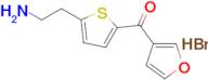 (5-(2-Aminoethyl)thiophen-2-yl)(furan-3-yl)methanone hydrobromide