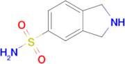 Isoindoline-5-sulfonamide