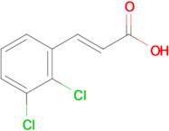 (E)-3-(2,3-Dichlorophenyl)acrylic acid