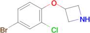 3-(4-Bromo-2-chlorophenoxy)azetidine