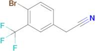 2-(4-Bromo-3-(trifluoromethyl)phenyl)acetonitrile