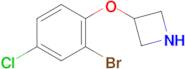 3-(2-Bromo-4-chlorophenoxy)azetidine