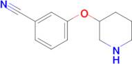 3-(Piperidin-3-yloxy)benzonitrile