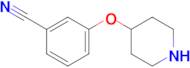 3-(Piperidin-4-yloxy)benzonitrile