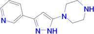 1-[3-(pyridin-3-yl)-1H-pyrazol-5-yl]piperazine