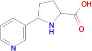 5-(Pyridin-3-yl)pyrrolidine-2-carboxylic acid