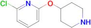 2-Chloro-6-(piperidin-4-yloxy)pyridine