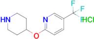 2-(Piperidin-4-yloxy)-5-(trifluoromethyl)pyridine hydrochloride