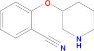 2-(Piperidin-3-yloxy)benzonitrile