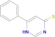 6-phenyl-1,4-dihydropyrimidine-4-thione