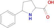 5-Phenylpyrrolidine-2-carboxylic acid