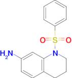 1-(Phenylsulfonyl)-1,2,3,4-tetrahydroquinolin-7-amine