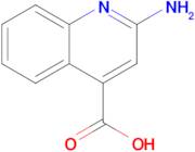 2-aminoquinoline-4-carboxylic acid