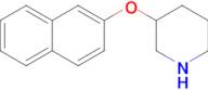 3-(Naphthalen-2-yloxy)piperidine