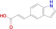 (E)-3-(1h-Indol-5-yl)acrylic acid