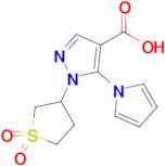 1-(1,1-Dioxidotetrahydrothiophen-3-yl)-5-(1h-pyrrol-1-yl)-1h-pyrazole-4-carboxylic acid