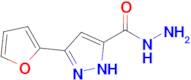 3-(furan-2-yl)-1H-pyrazole-5-carbohydrazide