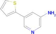 5-(Thiophen-2-yl)pyridin-3-amine