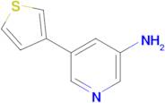 5-(Thiophen-3-yl)pyridin-3-amine