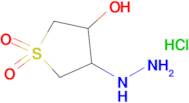 3-Hydrazinyl-4-hydroxytetrahydrothiophene 1,1-dioxide hydrochloride