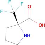 (R)-2-(Trifluoromethyl)pyrrolidine-2-carboxylic acid