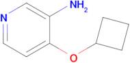 4-Cyclobutoxypyridin-3-amine