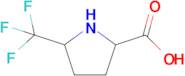 5-(Trifluoromethyl)pyrrolidine-2-carboxylic acid