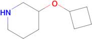 3-Cyclobutoxypiperidine