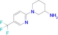 1-(5-(Trifluoromethyl)pyridin-2-yl)piperidin-3-amine