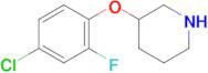 3-(4-Chloro-2-fluorophenoxy)piperidine