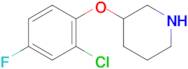 3-(2-Chloro-4-fluorophenoxy)piperidine