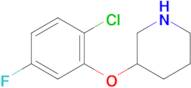 3-(2-Chloro-5-fluorophenoxy)piperidine