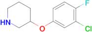 3-(3-Chloro-4-fluorophenoxy)piperidine