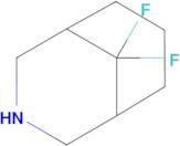 9,9-Difluoro-3-azabicyclo[3.3.1]nonane