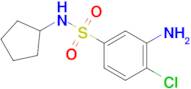 3-Amino-4-chloro-N-cyclopentylbenzenesulfonamide