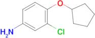 3-Chloro-4-(cyclopentyloxy)aniline