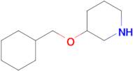 3-(Cyclohexylmethoxy)piperidine