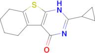 5-cyclopropyl-8-thia-4,6-diazatricyclo[7.4.0.0²,⁷]trideca-1(9),2(7),4-trien-3-one