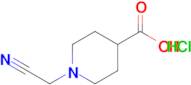 1-(Cyanomethyl)piperidine-4-carboxylic acid hydrochloride