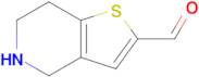 4,5,6,7-Tetrahydrothieno[3,2-c]pyridine-2-carbaldehyde