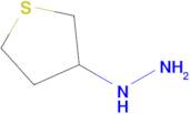 (Tetrahydrothiophen-3-yl)hydrazine