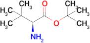 Tert-butyl (S)-2-amino-3,3-dimethylbutanoate