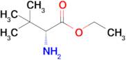 Ethyl (R)-2-amino-3,3-dimethylbutanoate