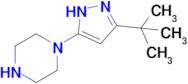 1-(3-tert-butyl-1H-pyrazol-5-yl)piperazine