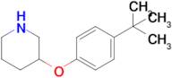 3-(4-(Tert-butyl)phenoxy)piperidine