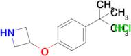 3-(4-(Tert-butyl)phenoxy)azetidine hydrochloride