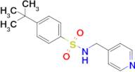 4-(Tert-butyl)-N-(pyridin-4-ylmethyl)benzenesulfonamide